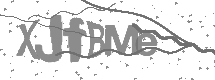 visual captcha